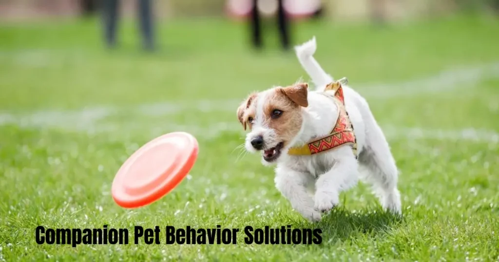 Companion Pet Behavior Solutions – A Complete Guide to Building Better Relationships with Your Pets companion pet behavior solutions