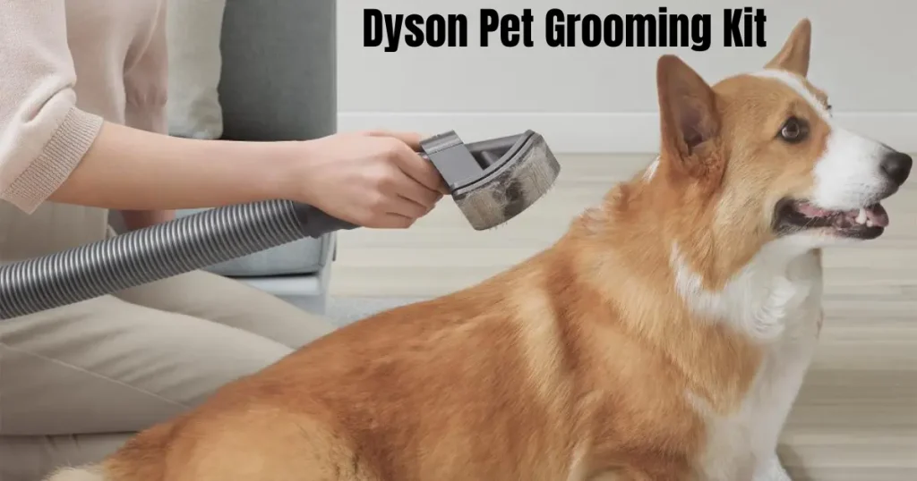 Dyson Pet Grooming Kit – A Complete Guide for Pet Owners dyson pet grooming kit