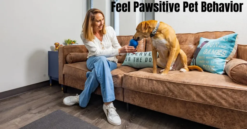 feel pawsitive pet behavior