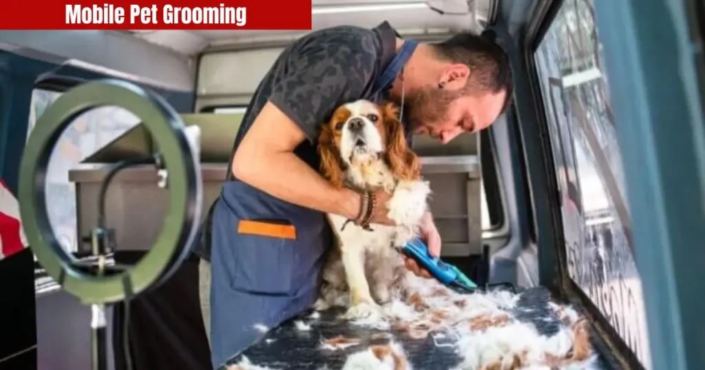 Mobile Pet Grooming – A Complete Guide to Convenient, Stress-Free Pet Care mobile pet grooming