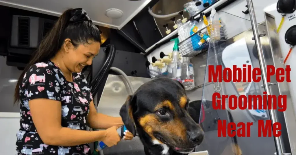 mobile pet grooming near me