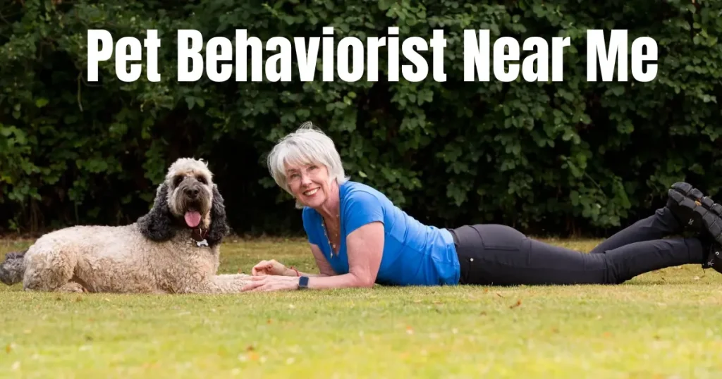 Pet Behaviorist Near Me – How to Find the Right Expert for Your Pet’s Behavioral Needs pet behaviorist near me