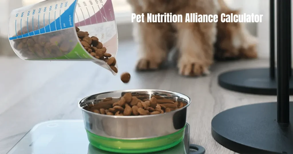 Pet Nutrition Alliance Calculator – Guide for Accurate Pet Feeding And Health pet nutrition alliance calculator